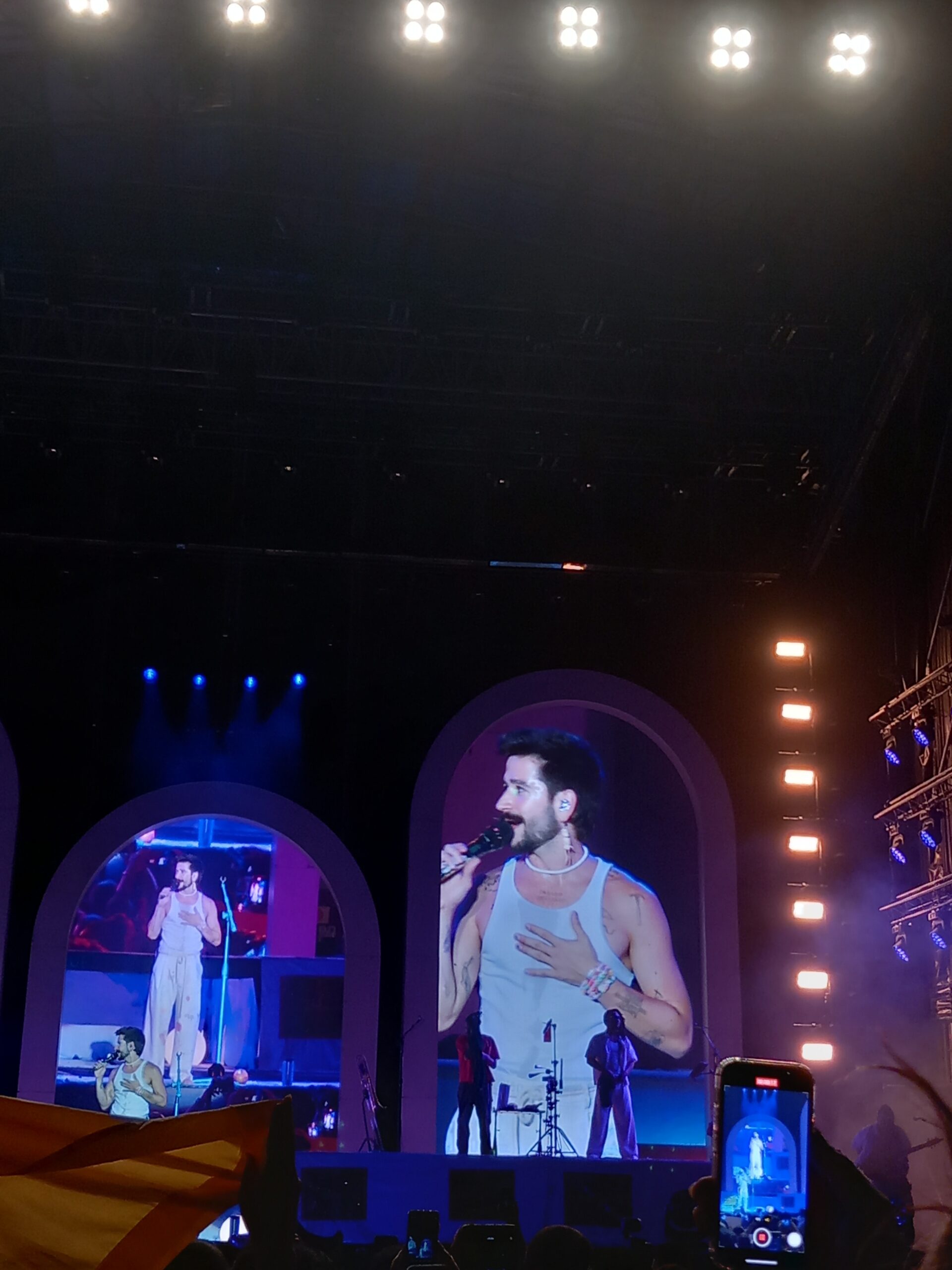 La magia de los conciertos